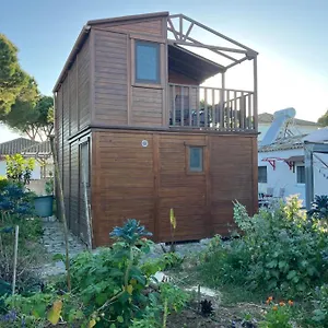 https://casa-de-madera-de-sancti-petri.es-andalucia.com
